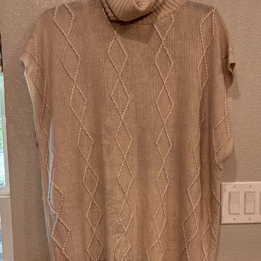 Time and Tru Beige Turtle Neck Sweater
